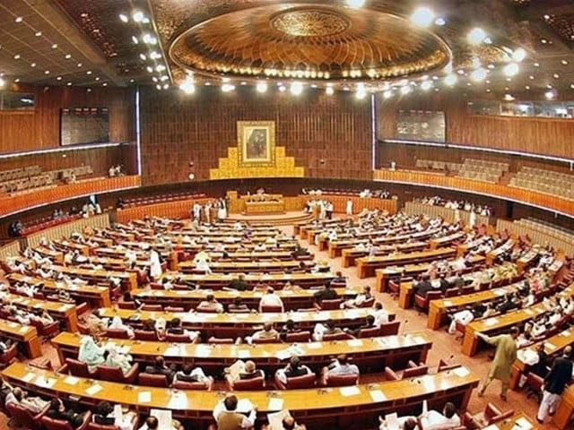 Violence against women rattles MPs