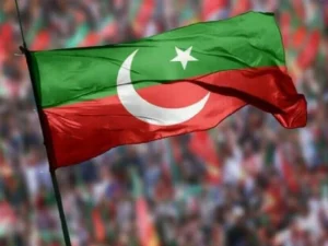 FFC fixes disqualified PTI MNA’s case