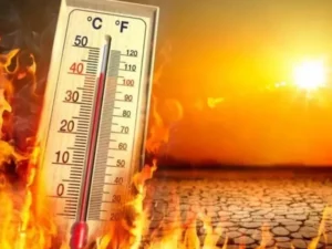 Precautions urged against hot weather