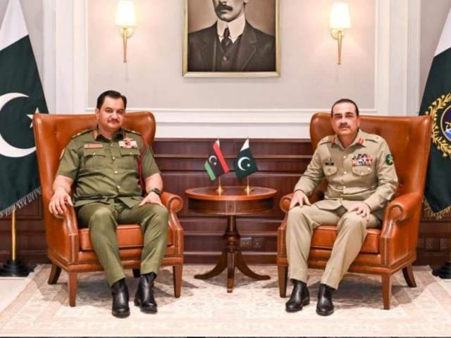 Field Marshal Munir, Libyan military deputy chief discuss defence cooperation
