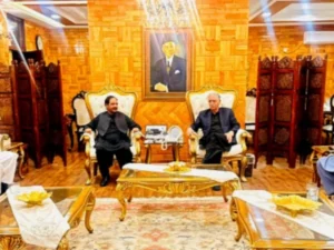 PPP, IPP hold consultations on G-B government formation