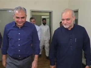 Naqvi, Hafiz Naeemur Rehman discuss political, economic, security challenges