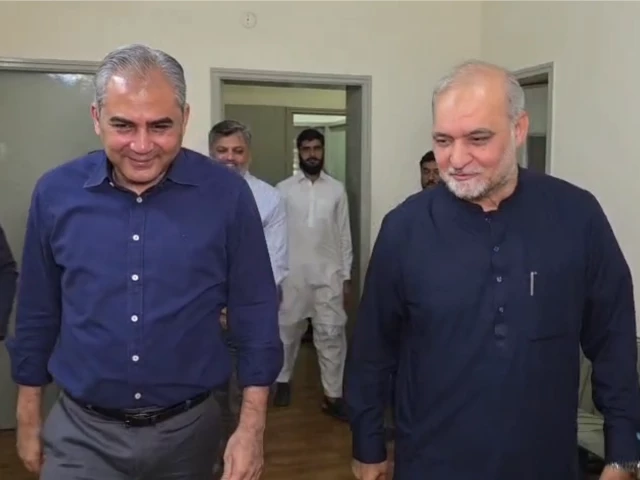 Naqvi, Hafiz Naeemur Rehman discuss political, economic, security challenges