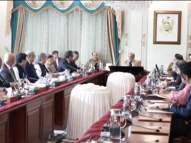 Centre to bear cost of 100MW solar power project in G-B: PM Shehbaz