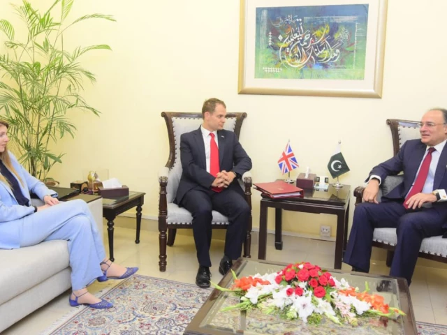 Finance minister briefs UK delegation on reform agenda, budget priorities