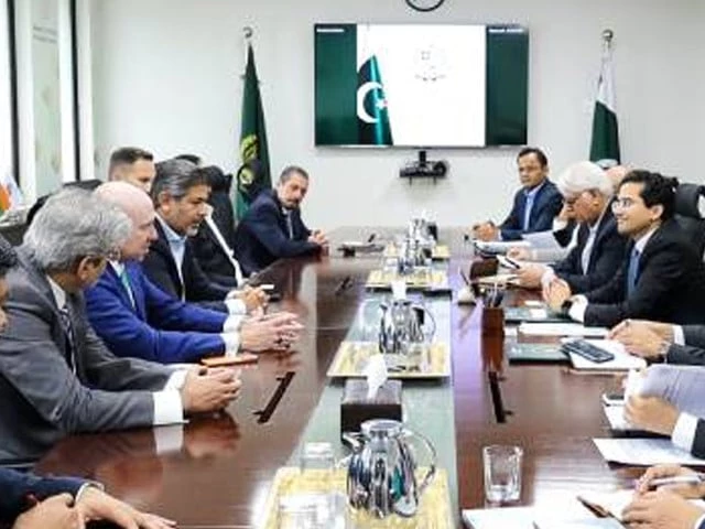 Petroleum minister holds energy investment meetings