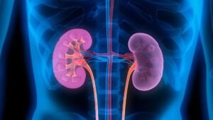 kidney disease cases driven by rising diabetes rates in new study