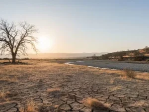 June warmer, drier than normal nationwide