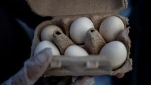 Poultry firm recalls nearly 1.6 mln dozen eggs over salmonella