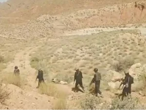 Security forces neutralise five terrorists in Balochistan IBOs: ISPR