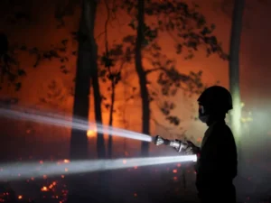 Over 100 wildfires prompt Algeria to urgently recall civil protection personnel