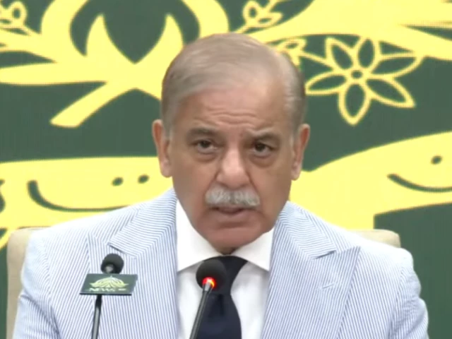 Afghan soil must not be used against Pakistan: PM Shehbaz