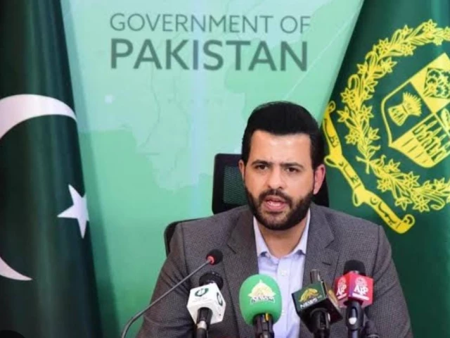 Danyal calls out ‘selective lectures’ for Pakistan on minority rights