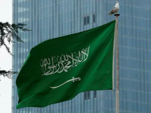 Pakistan, Saudi Arabia set $3b food export target
