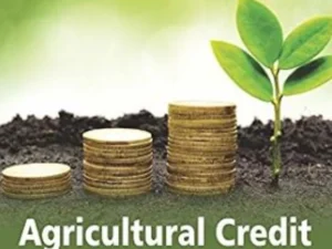 Loans rise bypasses small farmers