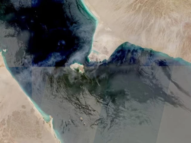 ‘Two Pakistanis’ among three killed in attacks on ships in Red Sea, Gulf, sources say