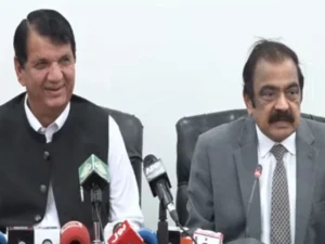 PML-N wins 13 of 20 AJK seats, secures simple majority: Sanaullah