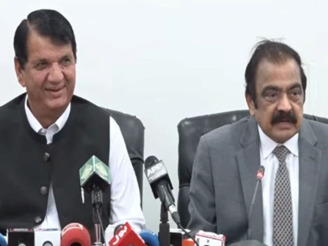 PML-N wins 13 of 20 AJK seats, secures simple majority: Sanaullah