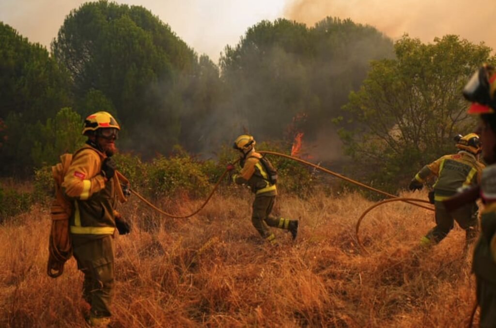 As Europe Burns, a Climate Coverup Continues