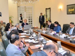 PM greenlights nationwide expansion of fuel subsidy amid Gulf tensions, rising oil prices